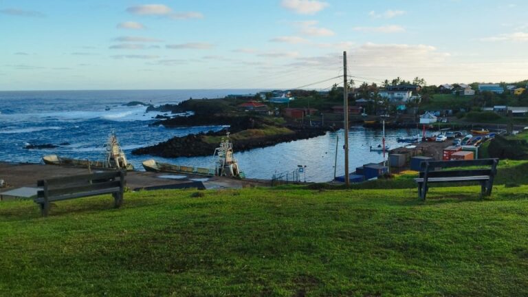 Por riesgo de tsunami: Cerca de 900 personas han evacuado hacia zonas seguras en Rapa Nui