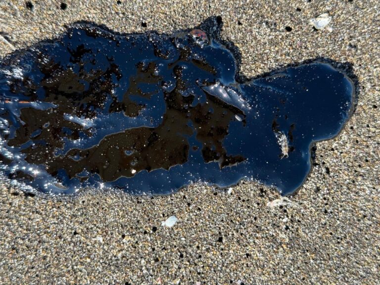 Alerta ambiental: Detectan 