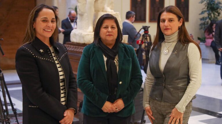 Diputadas de derecha advierten 