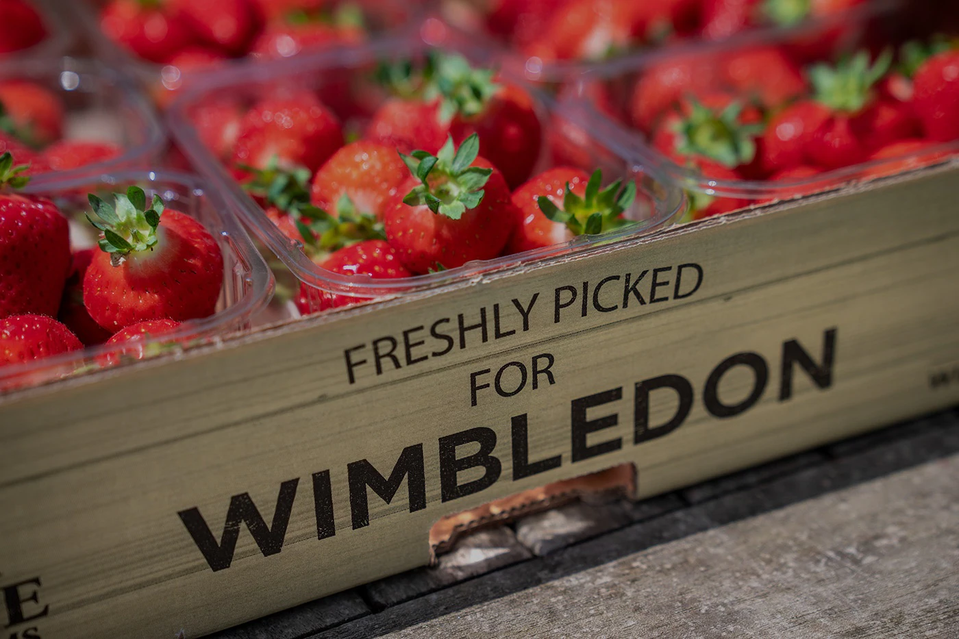 Tradición en Wimbledon: Comer frutillas con crema/Wimbledon