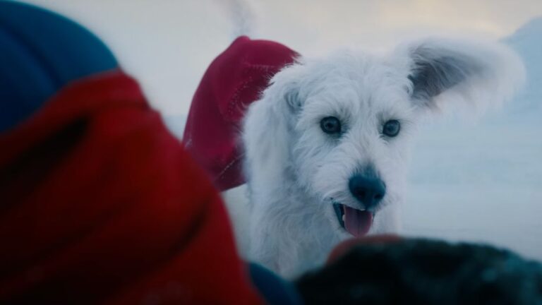La tierna historia real detrás del perrito rescatado que inspiró a Krypto de “Superman”