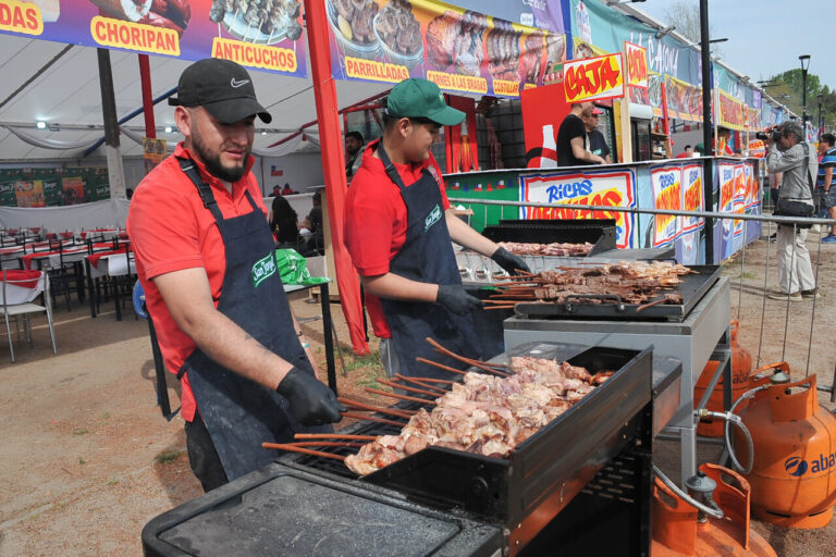 Diputados de oposición alertan aumento de delitos violentos previo a Fiestas Patrias y emplazan al Gobierno