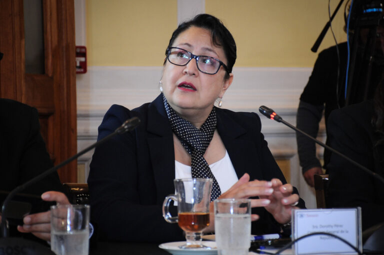 Contraloría inicia sumario en contra de la Dirección de Vialidad de Arica por irregularidades en obras de emergencia