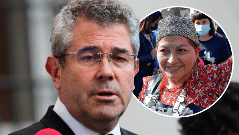 Andrés Jouannet fustiga a Elisa Loncón por consulta indígena: 
