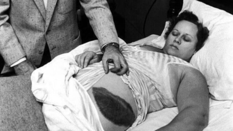 El día que un meteorito de 4.500 millones de años golpeó a Ann Hodges: La historia única que desafía las probabilidades