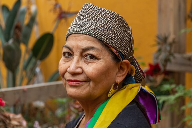 Frente Amplio se baja del Senado en La Araucanía y se abre la puerta a candidatura de Loncon por el PC