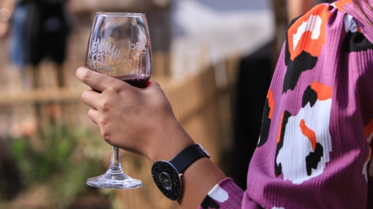 Experiencia sensorial inmersiva: La nueva forma de vivir el enoturismo en Chile