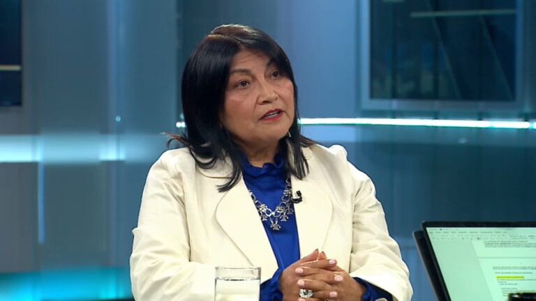 Elisa Loncon, candidata a senadora: 