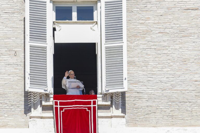 Tras tiroteo en EE.UU.: El papa pide que termine 