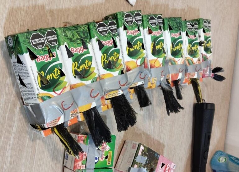 Iban ocultas en cajas de jugos: Aduanas incauta 50 crías de aves en el paso Los Libertadores