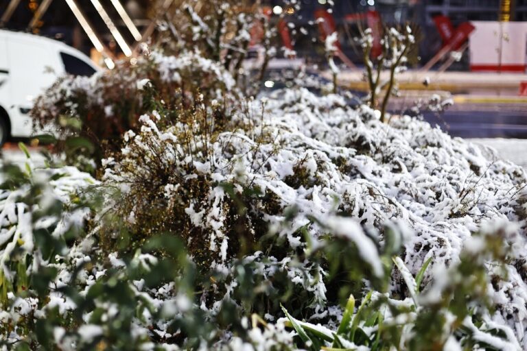 Meteorología emite aviso por nevadas en dos regiones de la zona central: ¿Cuándo ocurrirá en fenómeno?