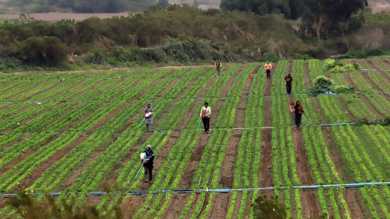 INE: Tasa de desempleo del trimestre junio-agosto de 2025 se situó en 8,6%
