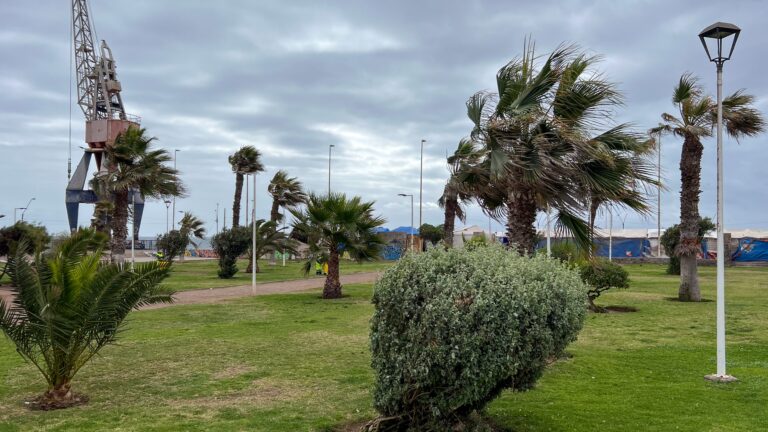 Rachas de viento de 60 a 90 km/h en dos regiones del norte: DMC emite aviso por probabilidad de tormentas de arena