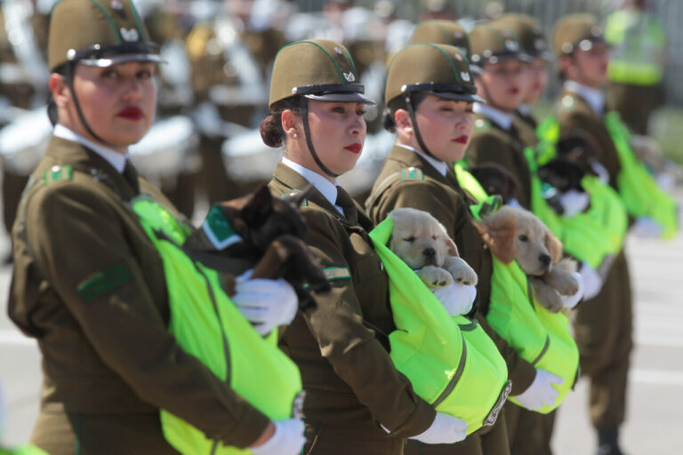 Parada militar 2025: ¿Cuándo es y quién la transmite?