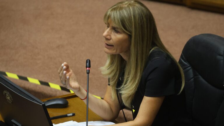 Oficialismo presenta requerimiento ante el Tricel para impugnar la candidatura senatorial de Ximena Rincón