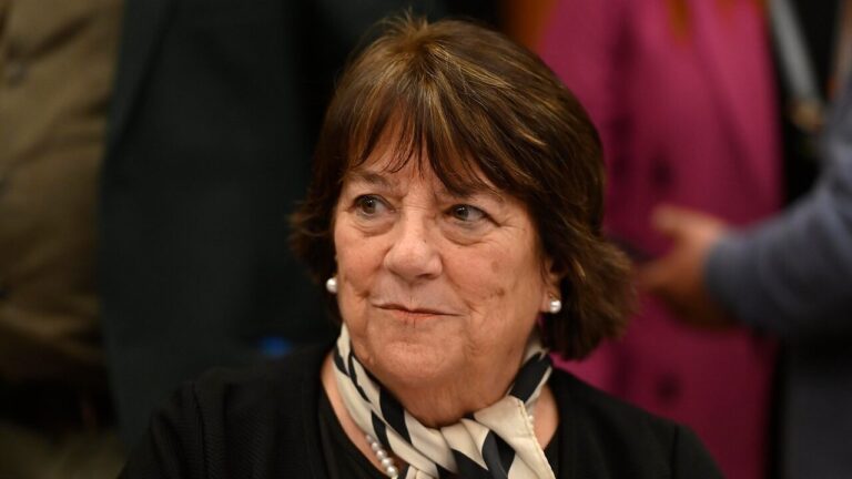 UDI en picada contra ministra Delpiano tras negar carácter terrorista de la CAM: Es 