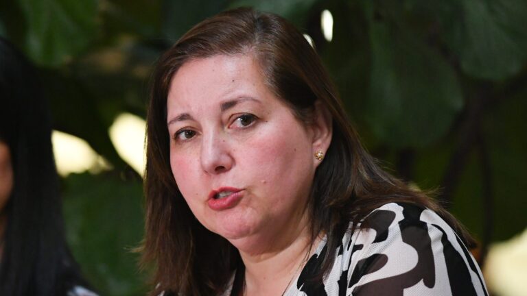 Vodanovic afirma que regularización de migrantes 