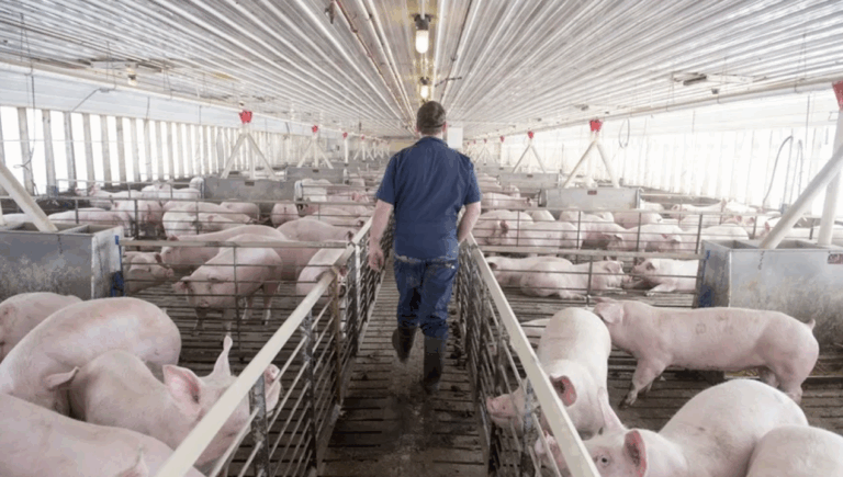 China impone aranceles a productos europeos en represalia por gravámenes a autos eléctricos