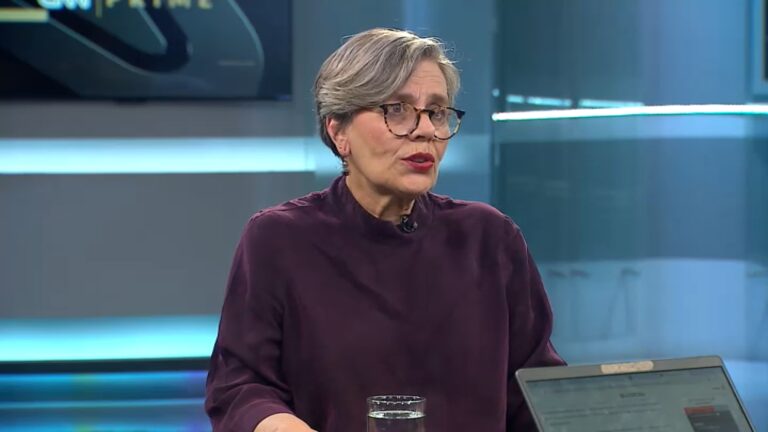 Fries y traspié en proyecto de multas por voto obligatorio: 