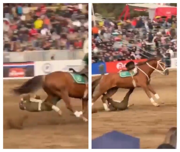 Carabineros del cuadro verde sufre grave caída durante acto en Parque Padre Hurtado