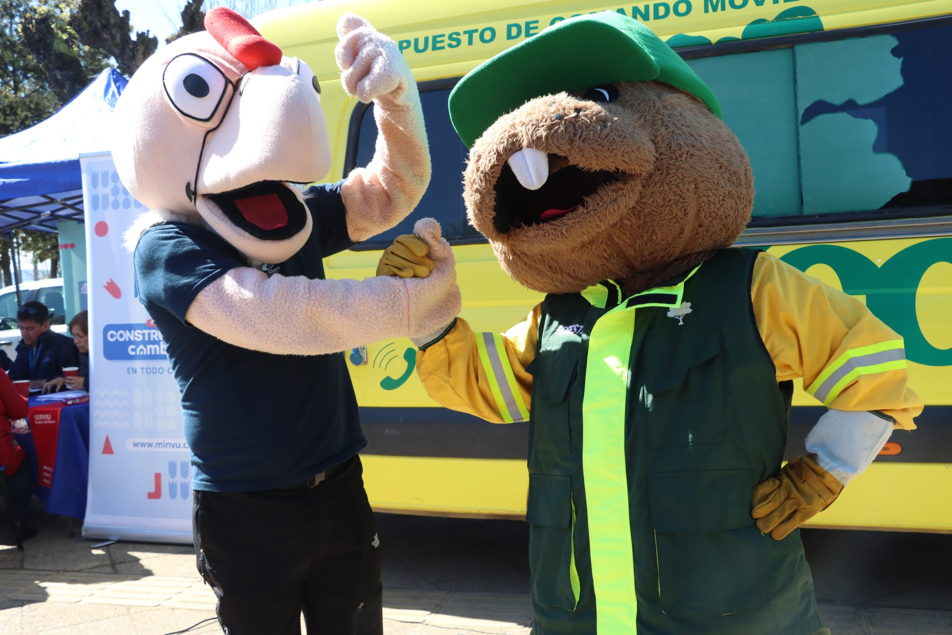 Junto a Condorito y Forestín: Conaf lanza campaña informativa para evitar las cortas ilegales de bosque/Conaf