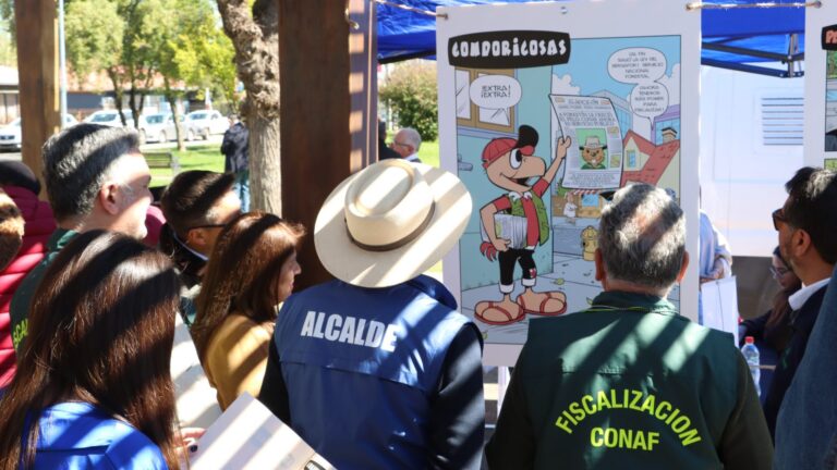 Junto a Condorito y Forestín: Conaf lanza campaña informativa para evitar las cortas ilegales de bosque