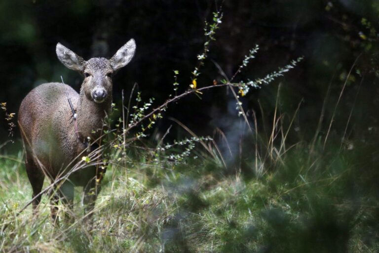 Lucha contrarreloj: Inauguran inédito 