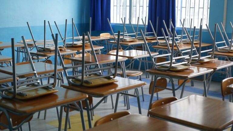 Universidades estatales llaman al Congreso a aprobar proyecto de acceso a pedagogías y advierten sobre posible 