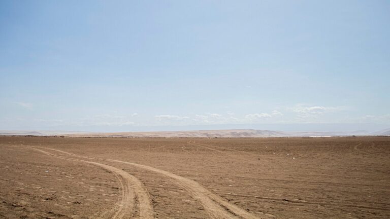 Comité de Coordinación Nacional de Fronteras ya tuvo su primera sesión: ¿Cuáles son sus funciones y quiénes lo componen?