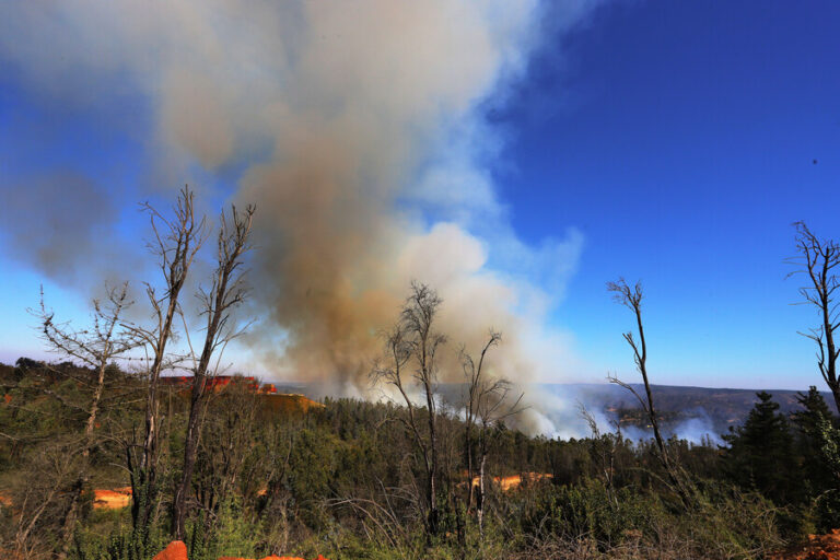 Región de Coquimbo: Senapred emite orden de evacuación en sector de Combarbalá por incendio forestal