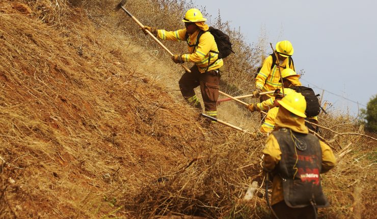Decretan alerta amarilla en comuna de la Región de Tarapacá por incendio forestal