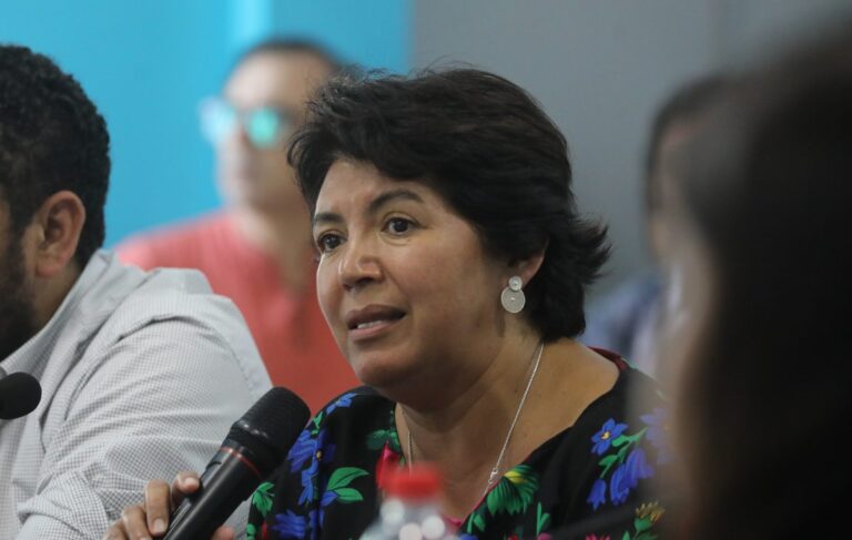 Provoste llama a investigar a empresas por error en cuentas de luz: “¿No notaron que cobraban de más o sí y quisieron pasar piola?”