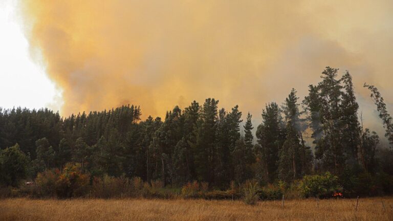Probabilidad de incendios forestales: Conaf informa que más de 25 comunas en Chile están con Botón Rojo