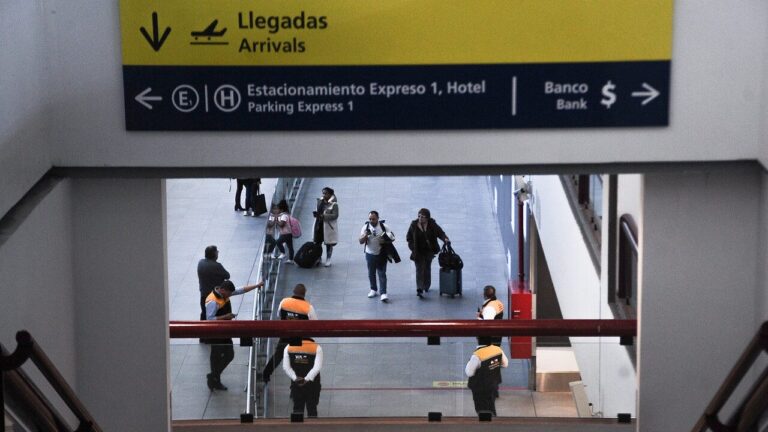 Dos brasileños fueron detenidos tras ser sorprendidos con cerca de 5 litros de ayahuasca en el Aeropuerto de Santiago