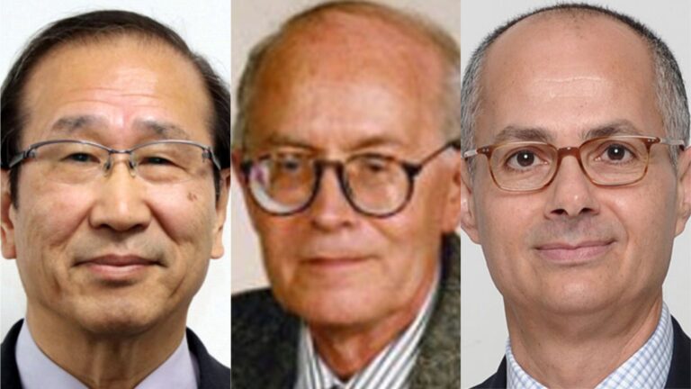 Tres científicos reciben el Premio Nobel de Química 2025 por desarrollar estructuras metalorgánicas al estilo 