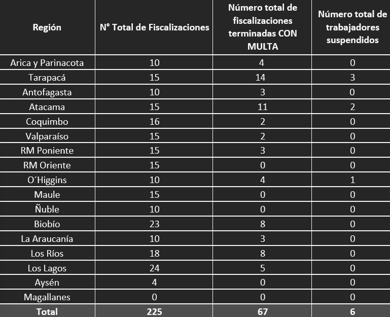Dirección del Trabajo aplicó multas por $212 millones tras fiscalización de buses interurbanos por fin de semana largo