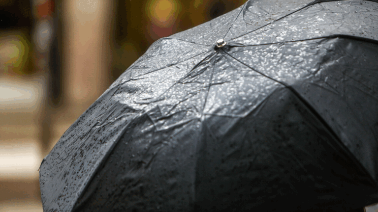 Ciclón extratropical llegará este fin de semana a Chile: provocará lluvias en la zona centro sur del país