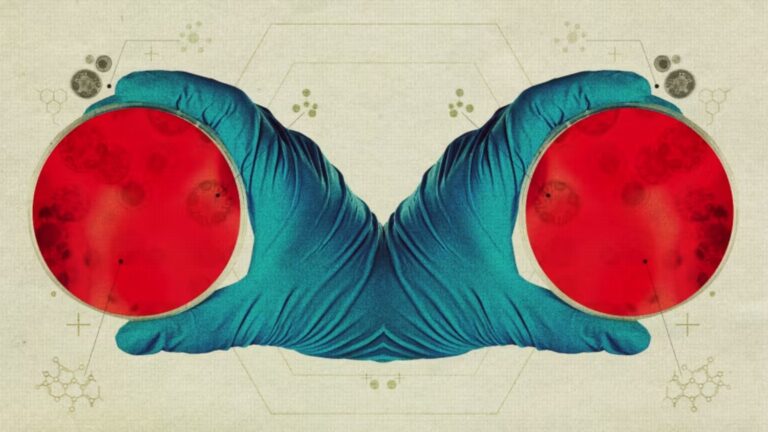 Científicos alertan que la creación de “vida espejo” podría representar un riesgo existencial para el planeta