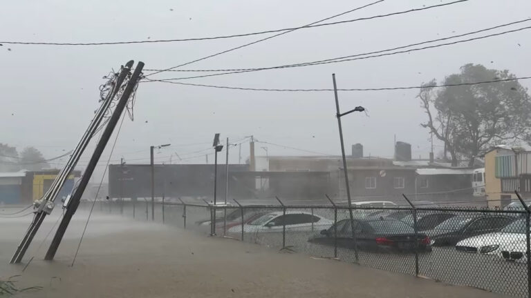 Huracán Melissa: Cocodrilos a la deriva agregan un peligro imprevisto en Jamaica