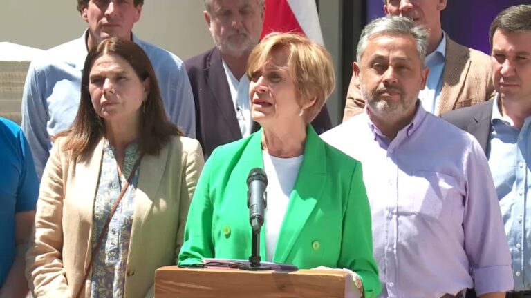 Matthei apoya acusación constitucional contra Pardow: 