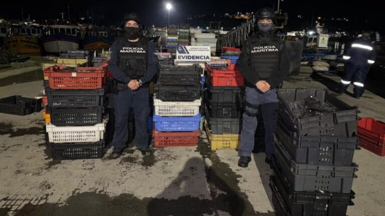 Policía Marítima incautó 2.800 kilos de reineta durante fiscalización en Calbuco