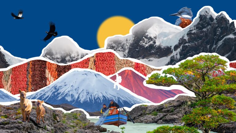 Revive el Quinto Encuentro de Áreas Protegidas y Comunidades Portal