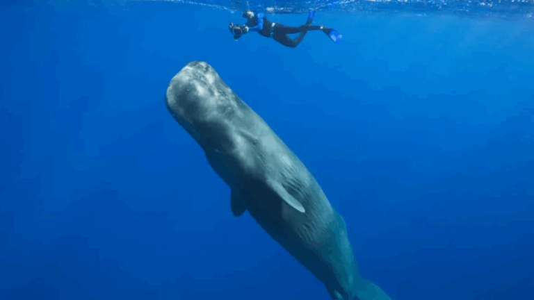 Estos son los 25 destinos imprescindibles para visitar durante 2026, según National Geographic