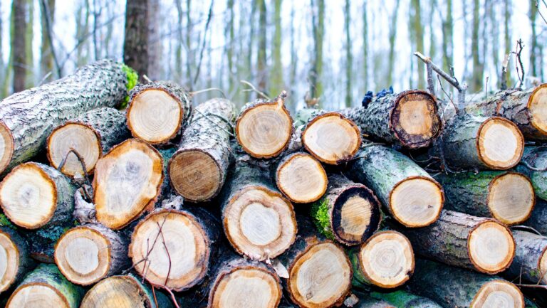 Gremios se despliegan por aranceles a importaciones de madera y piden impulsar la 