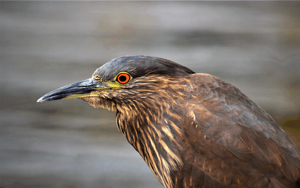Fundación Kennedy extiende plazo para participar en el 6to Concurso Nacional de Fotografía 2025