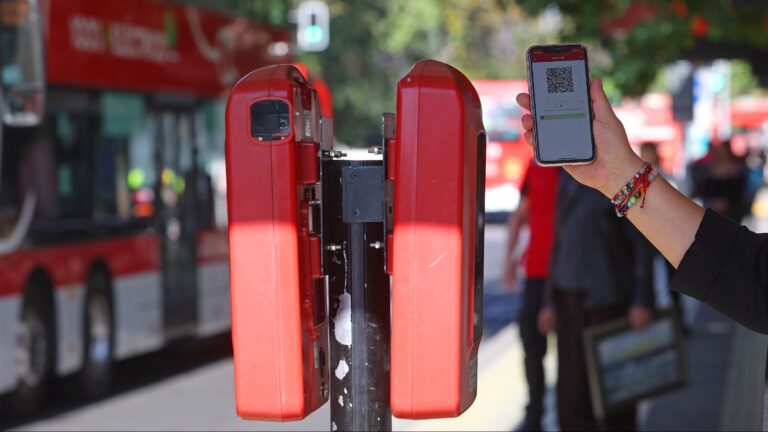 DaleQR supera nuevo récord: Casi 42 mil personas accedieron a viajes liberados en octubre