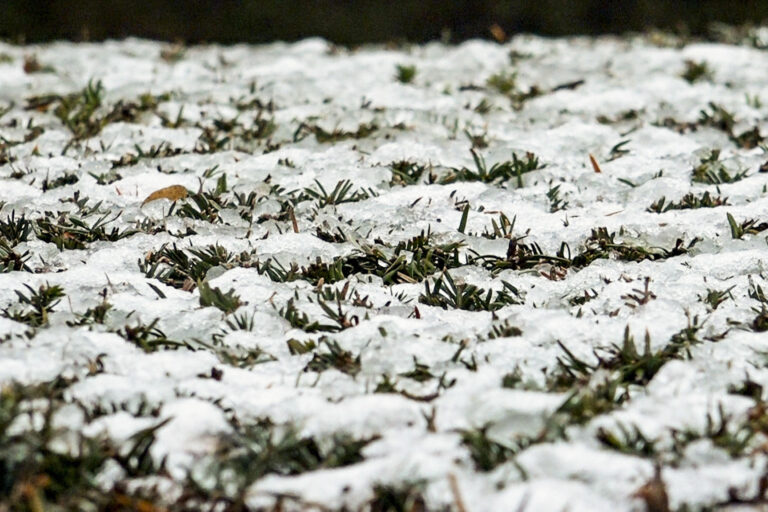 Suiza confirma 40 muertos y más de un centenar de heridos en incendio de bar en estación de esquí