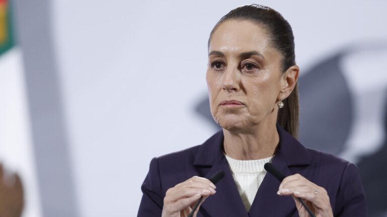 Presidenta Sheinbaum denunció al hombre que la acosó mientras hacía un recorrido en Ciudad de México