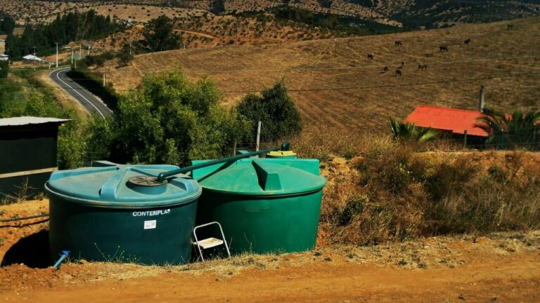 DCM emite alerta agrometeorológica entre O'Higgins y La Araucanía: Temperaturas podrían llegar a 33° C