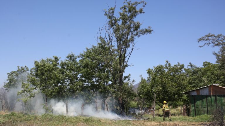Melipilla en Alerta Roja por incendio forestal: Senapred solicita evacuación